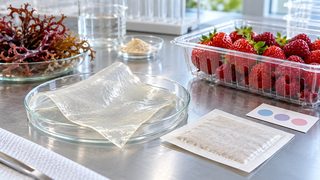 Symbolic image: transparent hydrogel film and a separate absorber beside packaged berries in a laboratory