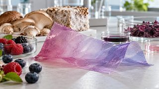 Symbolbild: Transparente violette Biopolymerfolie neben Pilzmyzel, Beeren und neutralen Laborgefäßen