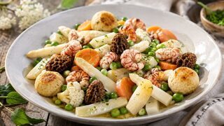 Leipziger Allerlei mit Spargel, Erbsen, Möhren, Blumenkohl, Morcheln und Flusskrebsschwänzen